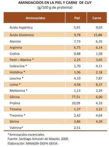 aminoacidos-carne-cuy